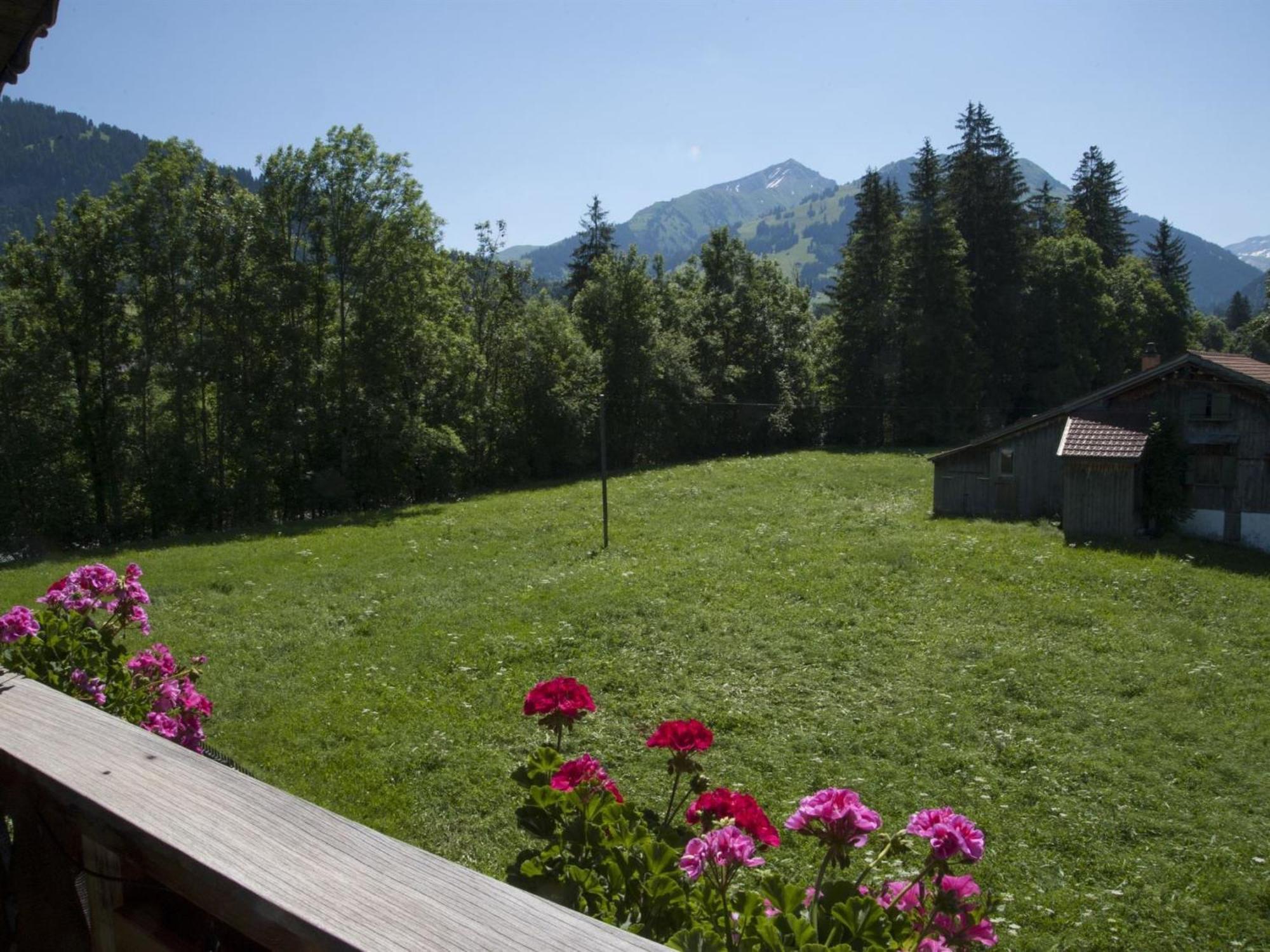 Apartment Steimandli By Interhome Gstaad Exterior foto